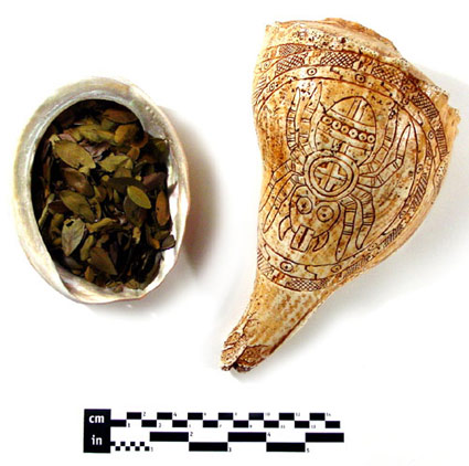 Replica Shell Dipper & Roasted Yaupon Leaves